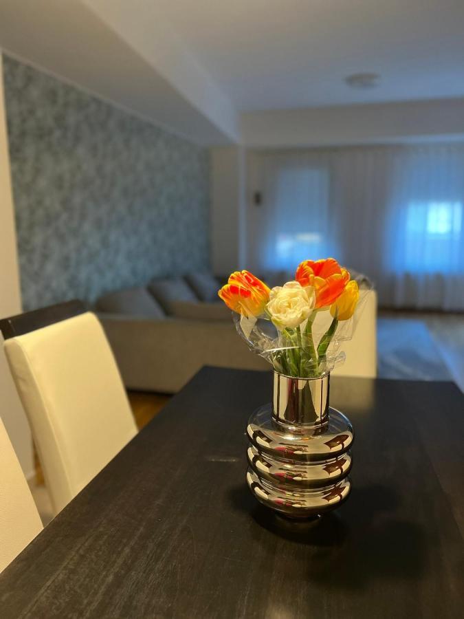 Iva Lux Stan Na Dan Apartment Banja Luka Exterior foto